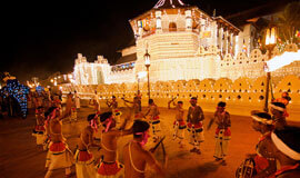 Experiencing Heritage Sri Lanka, Experience India, Travelling in india, India Tours, Best Luxury India Tours & Travel Packages, India Ultimate Wildlife Safari Tour Operator