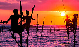 Experiencing Wonders Sri Lanka, Experience India, Travelling in india, India Tours, Best Luxury India Tours & Travel Packages, India Ultimate Wildlife Safari Tour Operator